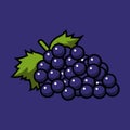 GRAPE FRUIT VECTOR