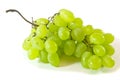 Grape Royalty Free Stock Photo