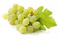 Grape Royalty Free Stock Photo