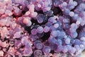 grape agate mineral texture