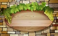 Grape banner Royalty Free Stock Photo