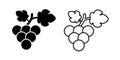 grape black and white outline icon vector icon illustration