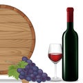 Grape, Bottle wine, Glass wine and wooden barrel, Vector illustrati