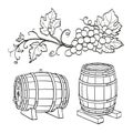 Grape branches and wine barrels Royalty Free Stock Photo