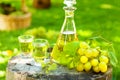 Grape brandy with fresh grapes Royalty Free Stock Photo
