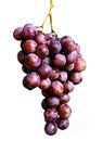 Grape bunch Royalty Free Stock Photo
