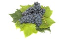 Grape bunch 6 Royalty Free Stock Photo