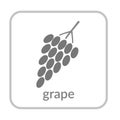 Grape bunch icon. Gray berry, outline flat sign, isolated white background. Symbol vineyard, alcohol drink. Health