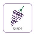 Grape bunch icon. Purple berry, outline flat sign, isolated white background. Symbol vineyard, alcohol drink. Health