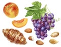 Grape bunch with leaf croissant peach almonds food set watercolor illustration isolated on white background Royalty Free Stock Photo