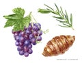 Grape bunch with leaf croissant rosemary food set watercolor illustration isolated on white background Royalty Free Stock Photo