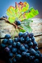 grape bunch with leaf on wood log Royalty Free Stock Photo
