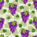 Grape bunch seamless pattern on green background with leaves and sketch, Fresh organic food, Purple grapes pattern Royalty Free Stock Photo