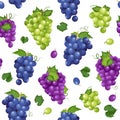 Grape bunch seamless pattern on white background with leaves, Fresh organic food, Dark blue grapes, purple and white grapes Royalty Free Stock Photo