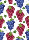 Grape bunch seamless pattern on white background with leaves, Fresh organic food, Dark blue and red grape pattern Royalty Free Stock Photo