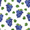 Grape bunch seamless pattern on white background with leaves and sketch, Fresh organic food, Dark blue grape pattern Royalty Free Stock Photo