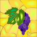 Grape bunch of stained glass Royalty Free Stock Photo