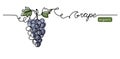 Grape bunch vector illustration. One continuous line drawing art illustration with lettering organic grape