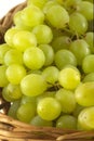 Grape bunch in wicker basket isolated close up Royalty Free Stock Photo