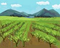 Spring landscape with vineyard, mountains on horizon and blue sky