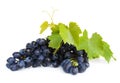 Grape cluster with green leafs Royalty Free Stock Photo