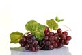 Grape cluster with leaves Royalty Free Stock Photo