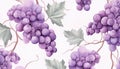 grape clusters and vines in watercolor