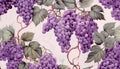 grape clusters and vines in watercolor