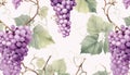 grape clusters and vines in watercolor