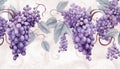 grape clusters and vines in watercolor