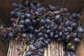 Grape crusher. Wine making. The equipment of the winemaker in action. Royalty Free Stock Photo