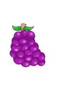 Grape