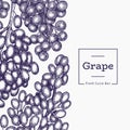 Grape design template. Hand drawn vector grape berry illustration. Engraved style retro botanical banner Royalty Free Stock Photo