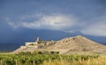 Grape field near ancient armenian church Khor Virap on the hill with Ararat Royalty Free Stock Photo