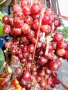 A Sprig of Grapes