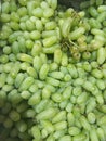 fresh and organic green grapes for sale