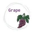 Grape Fruit with Hand Drawing Banner