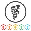 Grape fruit icon isolated on white background, color set Royalty Free Stock Photo