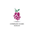 Grape fruit logo flat vector template icon illustration design. Royalty Free Stock Photo