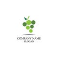 Grape fruit logo flat vector template icon illustration design. Royalty Free Stock Photo