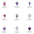 Grape fruit logo flat vector template icon illustration design. Royalty Free Stock Photo