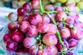 Grape fruit at the market for sell Royalty Free Stock Photo