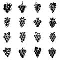 Grape fruit wine logo icons set, simple style Royalty Free Stock Photo