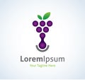 Grape fruit and wine making logotype logo icon