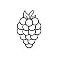 Grape fruits icon vector design templates