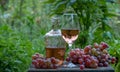 Grape harvest. Wine tasting culture. Sommelier pouring dessert wine in glass. Winery Filling wine glass outdoor Royalty Free Stock Photo