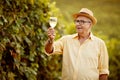 Grape harvest- winemaker in vineyard