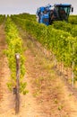 Grape harvester machine Royalty Free Stock Photo