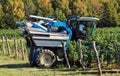 A grape harvester machine is entering the vineyard on a sunny September day Royalty Free Stock Photo