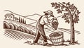 Grape Harvester Working in Vineyard Wine Production Vector, vector design Generative AI Royalty Free Stock Photo
